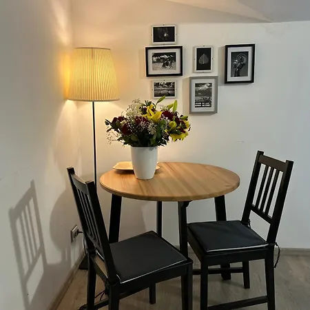 Apartment Oina 21 Cluj-Napoca